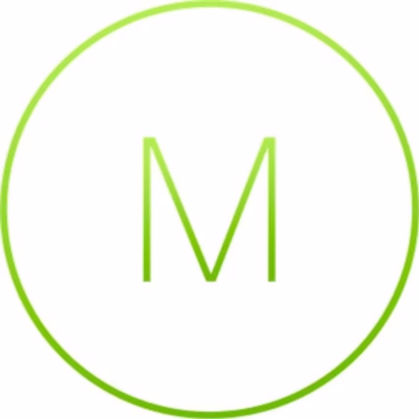 CISCO Meraki Ms355-48X2 Enterprise 677QN61