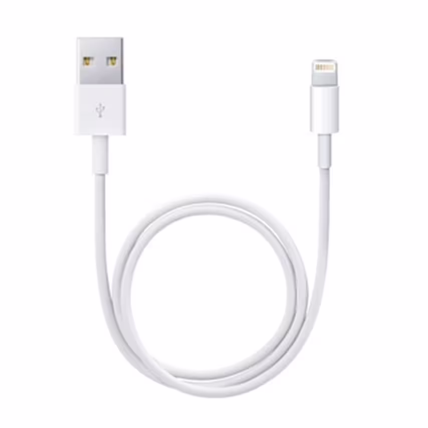 Apple iPhone IOS Accessories Lightning to USB Cable (0.5 M)