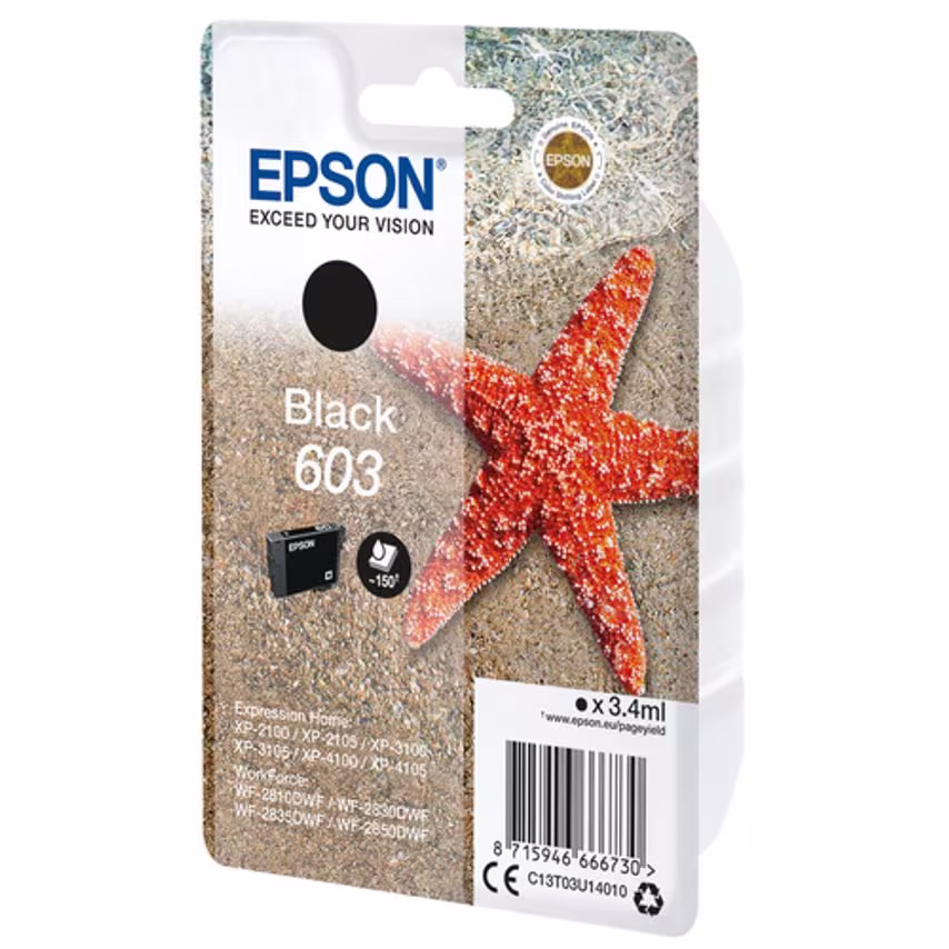 Epson Ink Low Volume Single Pack Black 603 Ink